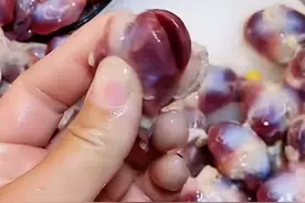 鸡胗处理过程，原来这样处理的！