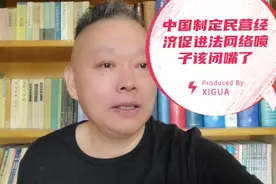 中国制定民营经济促进法，网络喷子该闭嘴了视频封面