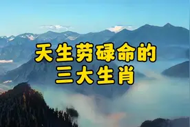 天生劳碌命的三大生肖视频封面