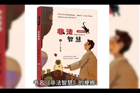 非法智慧视频封面