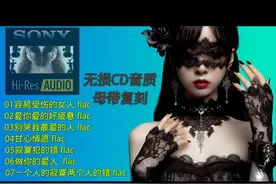 CD抓轨 原音呈现 无损音乐 用poweramp播放器播放 简直太好听了