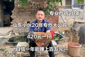 山东平阴小伙专炒大公鸡，420元一只，自信一年赚上百万，真厉害视频封面