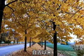 楞严经 明白人生真相看清楚这个世界视频封面