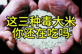 千万别买到霉变大米 再造大米 镉超标大米 这三种毒大米能要人命视频封面
