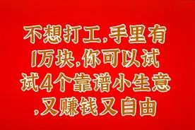 不想打工，手里有1万块，你可以试试4个靠谱小生意，又赚钱又自由视频封面