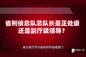 省刑侦总队总队长是正处级还是副厅级领导？