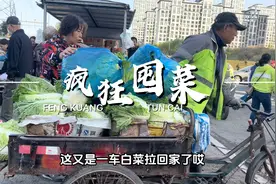 南北差异大不同！东北城里人如何囤秋菜？几百斤整捆整车买全靠抢视频封面