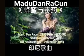 《蜂蜜与毒药》中文翻译视频封面