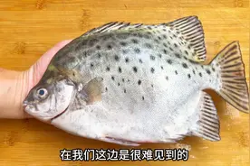 买了一条一斤多金鼓鱼，用它分享潮汕特色汤，酸咸鲜苦甘