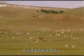 人性与欲望交织的伦理片，直击中年女人难以启的心酸，真实又残忍视频封面