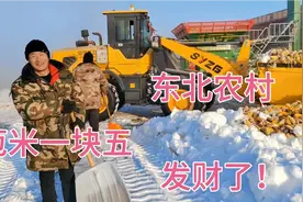 东北农村二哥卖苞米，一块五一斤你相信吗？3货车粒子这回发财了视频封面