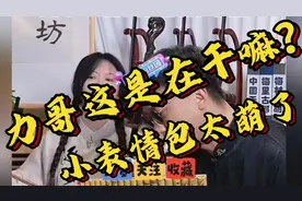 力哥这是在干嘛？小表情包太萌了，护花使者刀剑如梦，二饼疯癫哈