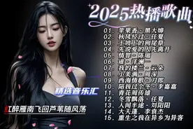 2025年爆火热播歌曲合集， 带你领略华语乐坛新风向！