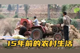 大山里没有收割机，看看山里人是怎样收麦子的？都是童年的回忆！