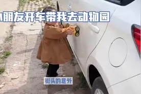 小妹妹开玩具车去动物园，萌娃日常趣事！视频封面