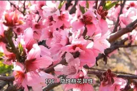 手机号码后六位有0好吗