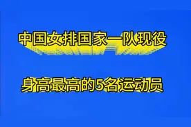 中国女排国家一队，现役身高最高的5名运动员视频封面