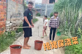 小黑挑猪尿浇菜，让小朋友跟在后面看着，教育她们要好好学习视频封面