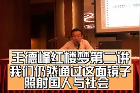 王德峰 红楼梦第二讲——我们仍然通过这面镜子照射国人与社会！视频封面