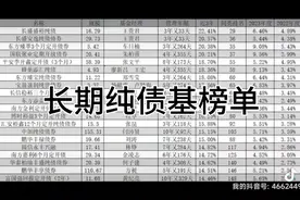 长期纯债基榜单来了！视频封面