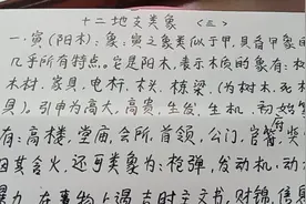 十二地支类象<三>视频封面