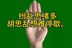 掌纹纷乱思绪多，胡思乱想难停歇。视频封面