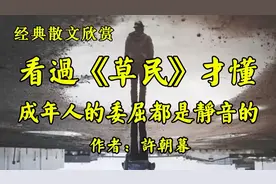 《草民》：成年人的委屈，都是静音的📚视频封面