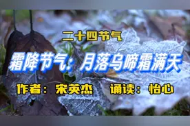 宋英杰《霜降节气：月落乌啼霜满天》，一起了解霜降节气相关常识视频封面