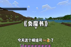 我的世界：这样的附魔书你见过没有？