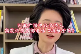 河北广播电台主持人高度评价刀郎老师《鸿雁于飞》