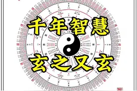 千年智慧，玄之又玄，探索人体经络的奥秘。视频封面