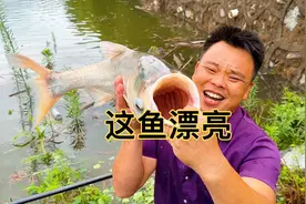 三兄弟户外钓鱼，只求爆竿，也不让鱼儿逃跑，这个梦想能实现吗？视频封面