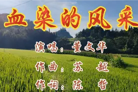 经典红歌《血染的风采》董文华演唱，旋律慷慨激昂，让人热血沸腾视频封面