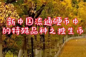 新中国流通硬币中的特殊品种之独生币视频封面