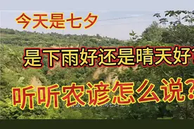 今天是七月初七，是下雨好还是晴天好？听听农谚怎么说？