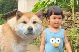 狗狗一整天都帮我带娃，还会游泳逗主人开心，玩到天黑都不舍分开视频封面