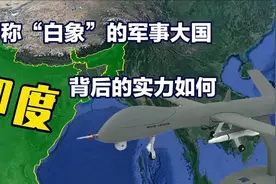 被俗称“白象”的军事大国 背后的实力究竟如何？视频封面