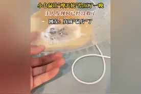 这是个悲伤的故事，小仓鼠让摩天轮给压了一晚，发现时已经没救视频封面