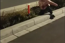 加特林视频封面