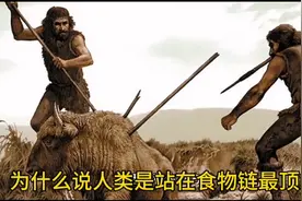 为什么说人类是站在食物链最顶端