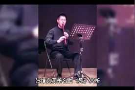 孔子悼颜回，低沉婉转，圣手箫王张维良洞箫名曲《殇》赏析视频封面