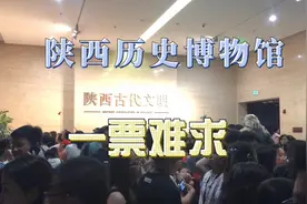 陕西历史博物馆：一票难求视频封面
