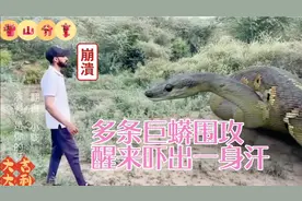 男子河边遇到超大蟒 ，扯腿就跑吓得屁滚尿流