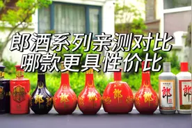 第20期：郎酒系列全面评比，哪款更值得购买？3分钟讲选酒！视频封面