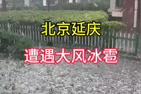 北京延庆遭遇大风冰雹，汽车和房屋都被砸坏了，太恐怖了视频封面