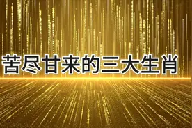 苦尽甘来的三大生肖视频封面