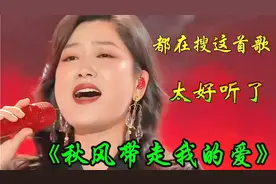 玲花一首DJ情歌《秋风带走我的爱》歌声悦耳动感十足，百听不厌