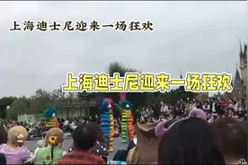 凌晨三点排队狂潮：上海迪士尼夏日毛绒玩具引发的消费现象视频封面