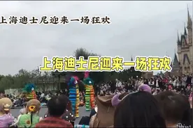 凌晨三点排队狂潮：上海迪士尼夏日毛绒玩具引发的消费现象视频封面