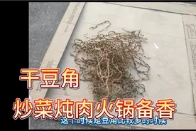 晒干豆角，用我们家传几十年的方法，简单易学，而且放一年都不坏